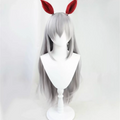 Cosplay Uma Musume Pretty Derby Tamamo Cross Wig Anime game party wig silver gray long straight wig ﻿