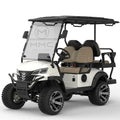4WD Customized Color Street Legal 2 4 6 8 Passenger 48/60/72V 4000/5000/7000W CE Electric UTV Golf Cart For Sale