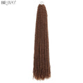 30" Passion Twist Crochet Hair Pre-Looped Synthetic Braiding Hair Extensions Ombre Pre-Twisted Water Wave Braids Hair Expo City