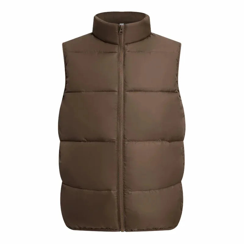 Customized Logo Windproof Winter Vest Thick Stand up Collar DIY down Cotton Sleeveless Jacket for Company Brand Printing