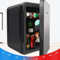 2026 New Upgrade International 10L Refrigerator Mini Refrigerator Student Dormitory Heating And Cooling Box Car Home Dualuse Ref