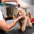 Dog Grooming Tub in the Trailer Integrated Stainless Steel Bathing Station in Mobile Pet Grooming Unit
