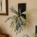 Artificial Tropical Plant Wall Hanging Decoration Antler Fern Green Plant Landscape Display Furnishings Home Decor, Wooden Frame