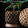 3D Printed Biodegradable Irregular Geometry Flower Pot - Textured Linear bonsai pots for Home Decoration & Gift (Eco-Friendly)
