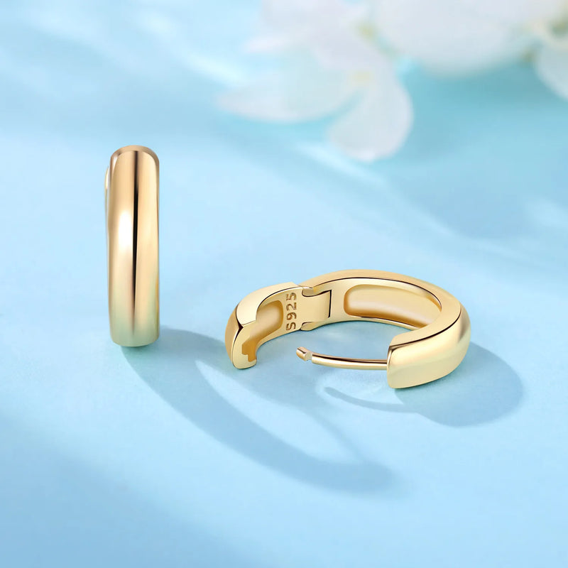 Original S925 Sterling Silver Zircon 18K Gold Lining Vintage Hoop Earrings for Women Birthday Party - Visuel 3 | SAMAG