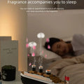 Aromatherapy Humidifier Raindrop Air Humidifier Color Light White Noise Essential Oil Diffuser Household Ultrasonic Aromatherapy