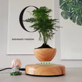 Maglev Floating Planter - Creative Home Decor Gift, Unique Desktop Ornament for Essential Home Aesthetics