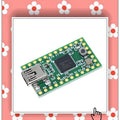 TZT MICRO/MINI/TYPE-C USB ATMEGA32U4 Module 5V 16MHz Board For Arduino ATMEGA32U4-AU/MU Controller Pro-Micro Replace Pro Mini