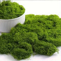 Green Fake Moss DIY Crafts Grass Artificial Moss Faux Preserved Moss Green Plant Home Room Garden Decor Landscape Fake Grass