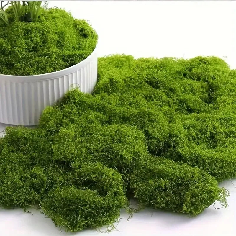 Green Fake Moss DIY Crafts Grass Artificial Moss Faux Preserved Moss Green Plant Home Room Garden Decor Landscape Fake Grass