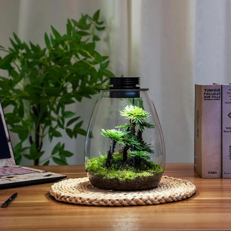 Glass Terrarium for Succulent, Moss, Miniature Gardening Landscape with Grow Light Indoor Plant Growth, Office Home Decoration