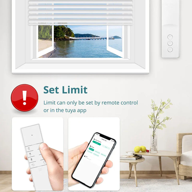Zemismart Zigbee Smart Roller Shade Driver Electric Blinds Motor Power By Battery Works with Tuya Alexa Google Home Yandex Voice
