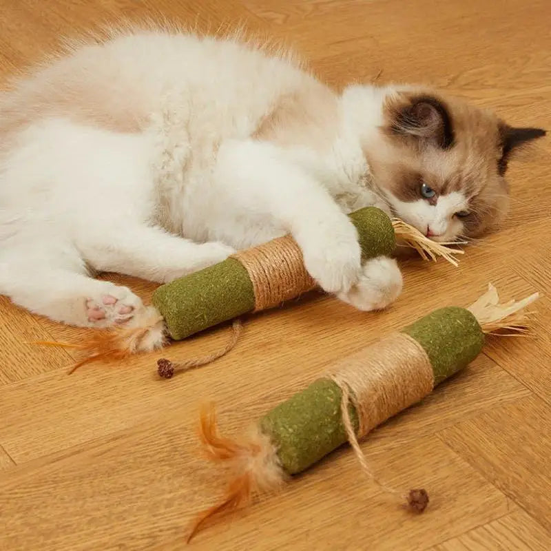 NEW 1/2PCS Cat Toys Made Of Wood Knotweed Teething Sticks Insect Galls Raffia Sisal Rope Teeth Cleaning Toys Cat Teasing Sticks