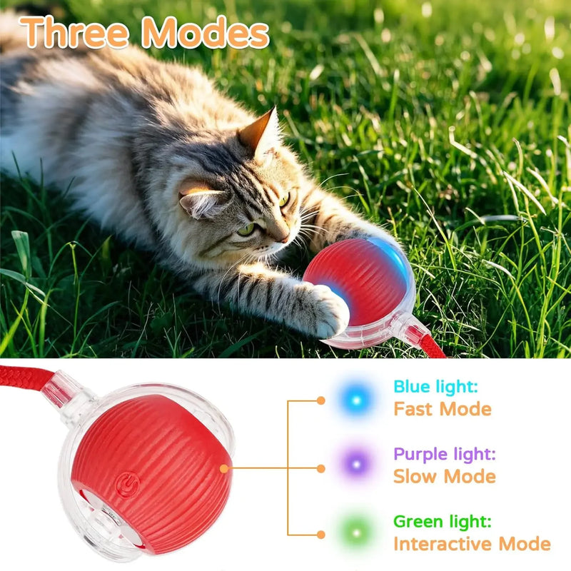 New Cat Interactive Ball Toy Automatic Rolling Ball Faux Tail Rechargeable Smart Pet Electric Toy Dog Cat Training Imitate Mouse