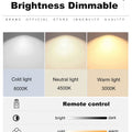 Modern Circular Wall Lamp LED Glass Wall Lamp Sconce Living Room Corridor Bedroom Bathroom Home Decoration Indoor Lighting