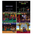 SOR2 Shredder's Revenge 16Bit Game Card For Mega Drive Genesis