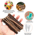 33pk Catnip & Silvervine Sticks - Natural Chew Toys w/ 3 Mouse Toys