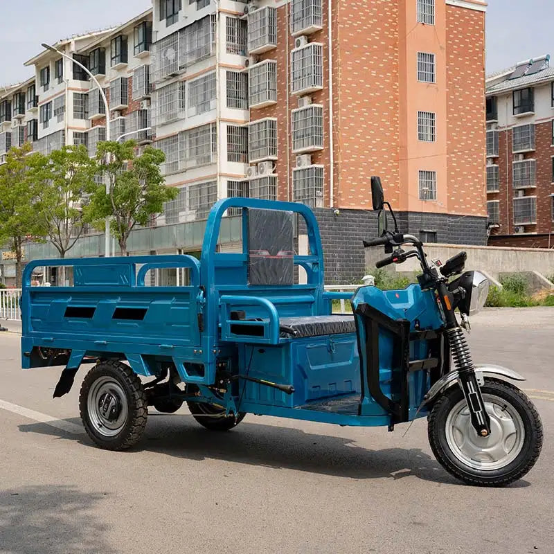 Electric Freight Tricycle 3 Wheel Motorcycle 1000W Motor 400kg Payload Steel Frame 2 Passengers Long-distance Travel China