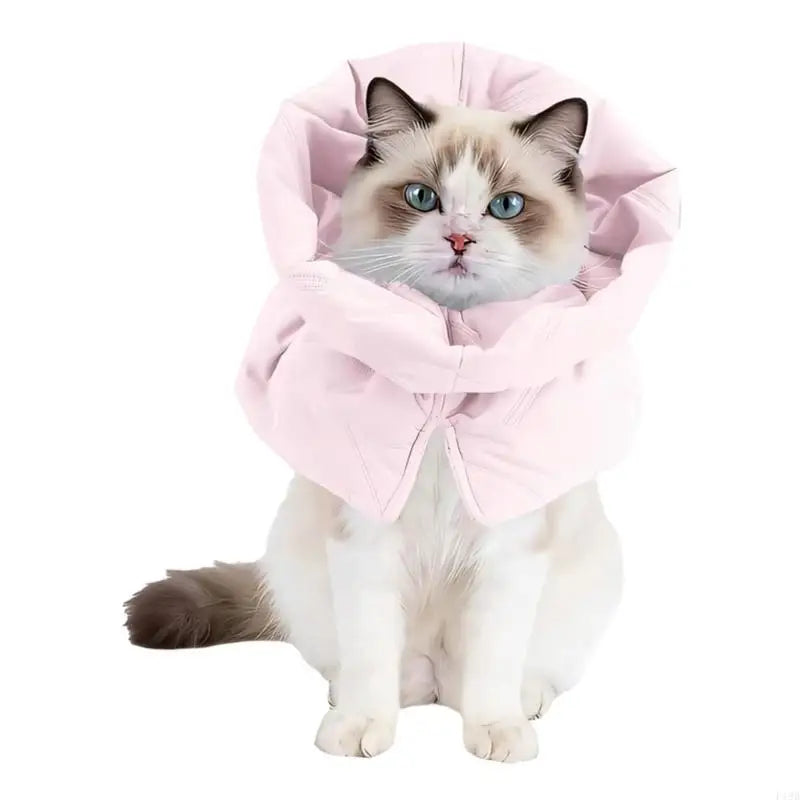 F19B Gentle Recovery Cones Cats Soft Prevents Biting And Licking Wounds
