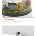 Aromatherapy Humidifier Raindrop Air Humidifier Color Light White Noise Essential Oil Diffuser Household Ultrasonic Aromatherapy