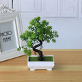 Garden Arrangement Ornaments Plastic Plants Bonsai Small Tree Pot Fake Plant Potted Flower Home Room Table Decoration