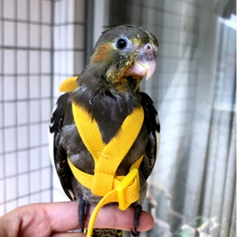 Adjustable Parrot Bird Harness Leash Set Anti-bite Training Parrots Outdoor Flying Rope Cockatiel Small Birds Supplies