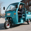 Good Price Electric Tricycle for Cargo Durable Agriculture Transport