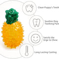 Pet Freezable Cooling Chew Toy Dog Cat toy Summer Pineapple Lemon Watermelon Design Durable Bite-Resistant Dog Ice Frozen Toys