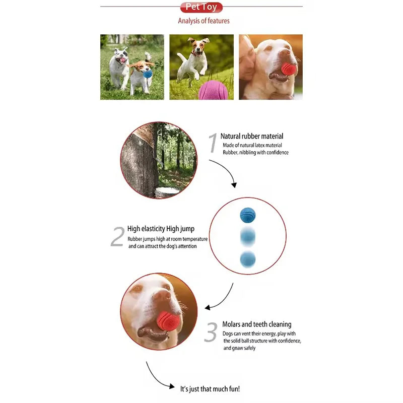 Dog Chew Toy Ball Elastic Rubber Solid Ball Anti-Chew For Outdoor Throwing Recovery Training Durable Bite-Resistant Rubber Ball