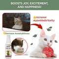 Catnip Spray for Cats,Cat Scratching Spray to Boost Play,Calm Stress & Renew Toys,Transparent Cat & Kitten Behaviour Spray 60 ml