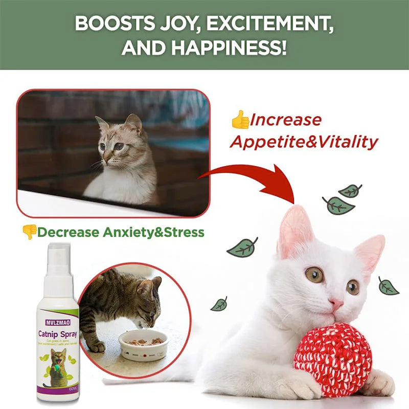 Catnip Spray for Cats,Cat Scratching Spray to Boost Play,Calm Stress & Renew Toys,Transparent Cat & Kitten Behaviour Spray 60 ml
