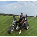 Golf Smart Waterproof Foldable Electric Three-Wheel Golf Scooter with Brushless Motor and LED Lighting