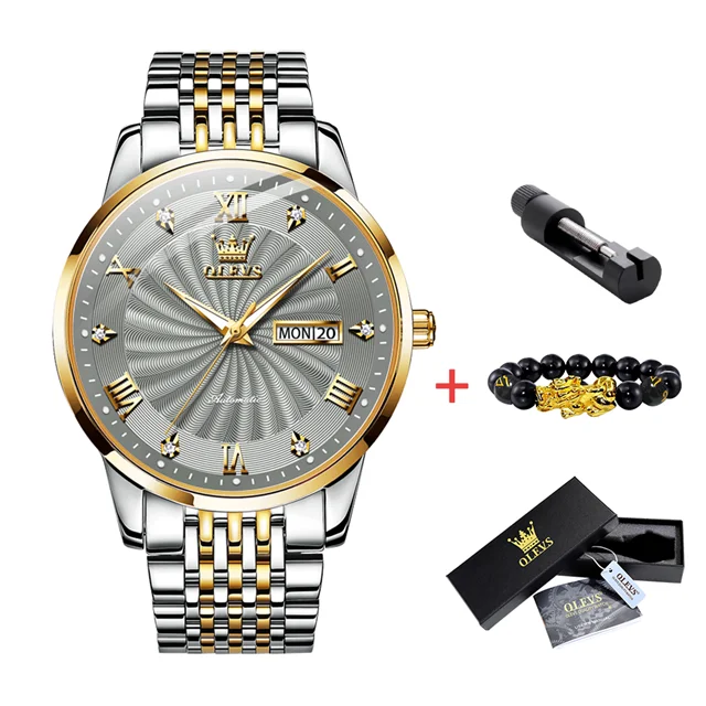 OLEVS Watch for Men 100% Original Automatic Mechanical Man Watches Steel Strap Waterproof Wristwatches Men's Luxury Brand Watch