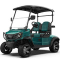 48V Electric Golf Cart 2 Seater 5KW Motor Independent Suspension Disc Brake Utility Vehicle 90km Range