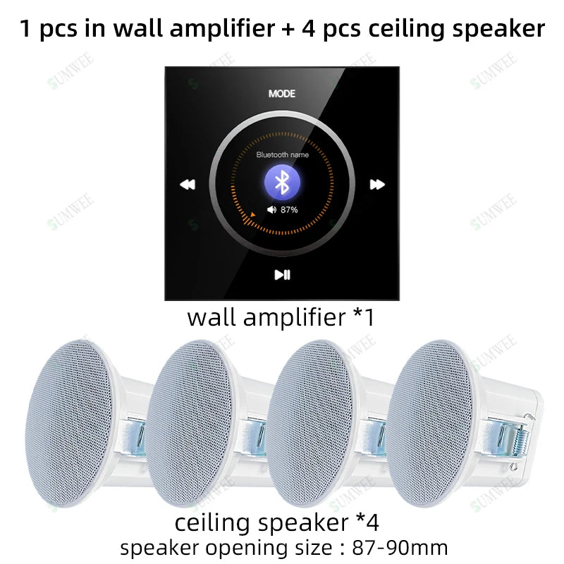 Bluetooths in Wall Amplifier Mini Stereo Home Theater Sound Systems Audio FM Radio AUX Hotel Power Amplificador Ceiling Speakers
