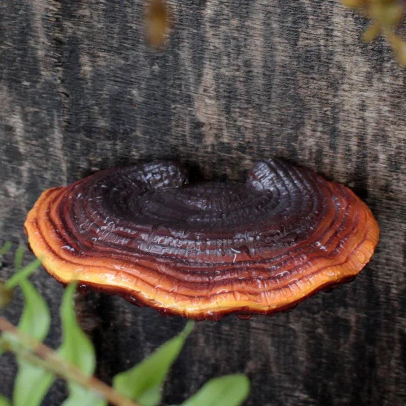 5pc Creative Resin Ganoderma Decor， Tree Stump Ornament，Outdoor Garden Decor,  Spring Theme Supplies, Home Garden Decoration, Ya