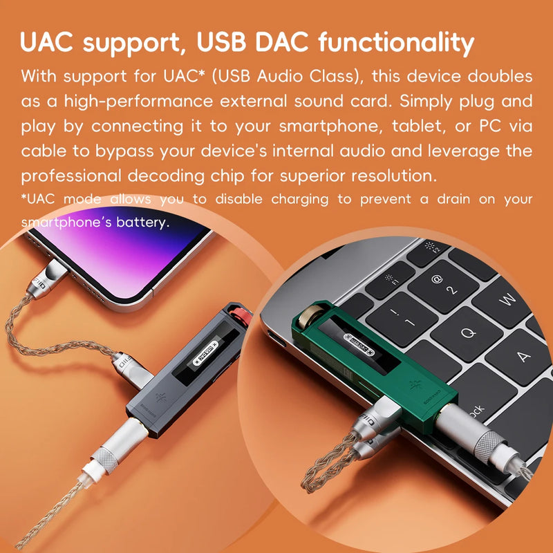 FiiO ECHO NANO Retro Music Player, Pocket-Sized HiFi MP3 Player with OLED Display, USB DAC, Lossless Audio