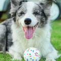 5cm New High-quality ETPU Bite-resistant Grinding Teeth Dog Pet Supplies Toy Ball High Elastic Rubber Ball
