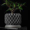 3D Printed Biodegradable Irregular Geometry Flower Pot - Textured Linear bonsai pots for Home Decoration & Gift (Eco-Friendly)