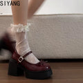 Platform High High Women Mary Jane Shoes Fashion Banquet Party Pumps Spring Autumn Women's Dress Black y2k Heels Shoes