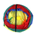 Cat Tunnel Collapsible Crawl Tube Agility Trainer Cats Hole Toy
