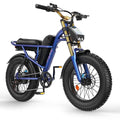 Electric Bike for Adults, 1500W Peak Motor Ebike with 48V 20.8Ah Built-in Removable Battery, 80 Miles Range Top, Customized
