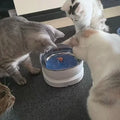 Magnetic Drive Wireless Cat Water Fountain 100 Days Long Battery Life Ultra Quiet Filter-Free Suspension Pet Water Bowl