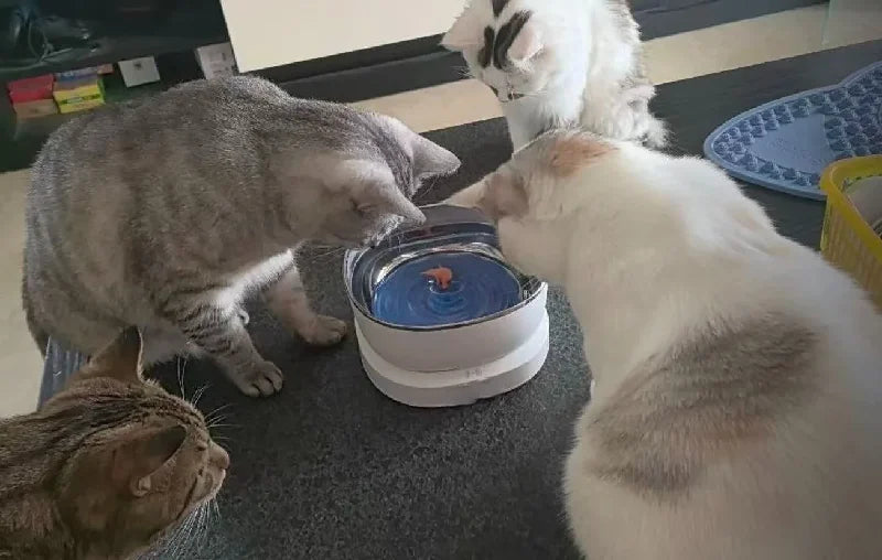 Magnetic Drive Wireless Cat Water Fountain 100 Days Long Battery Life Ultra Quiet Filter-Free Suspension Pet Water Bowl