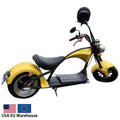 2000W Large Wheel Electric Scooter