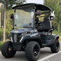 Electric Golf Cart with 2- Seats Compatible with Club Car 48V Battery  EEC Certified electric golf carsgolf buggy