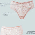 Women's Panties Sexy Lace Transparent Underwear Hollow Out Female Low Waist Briefs Breathable Lingerie Intimates Underpants