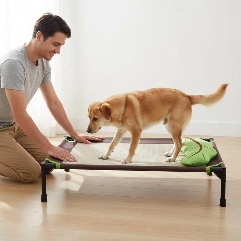 Elevated Dog Bed Moisture-Resistant Raised Pet Cot Dog Camping Bed Scuff-Resistant Resistant All-Season Use for Animals, Indoor