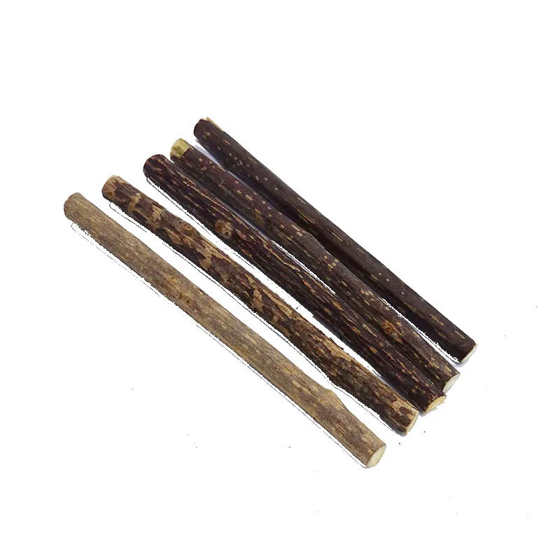 Natural Silvervine Catnip Cat Chew Toy Suit Silvervine Cat Snacks Stick Safety Molar Toothpaste Sticks Pet Supply