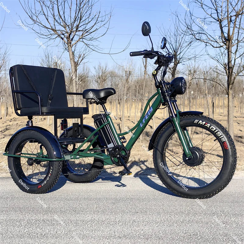 Fat Tire Electric Tricycle Adults With Passengers Powerful 48V 750W Family Electric Bicycle Removable Battery With Safe Belt